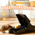 Piège à Rats Réutilisable - Déclencheur Haute Sensibilité, Sécuritaire pour Enfants/Animaux, Conception Écologique 🏡🔧